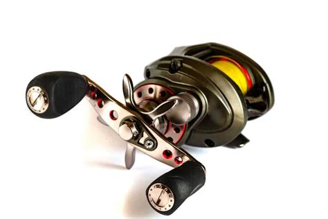 The Best Saltwater Spinning Reels For Catching Fish Thexbest Com