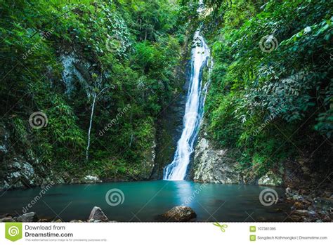 Waterfall In The Tropical Rainforest Landscape Stock Image Image Of