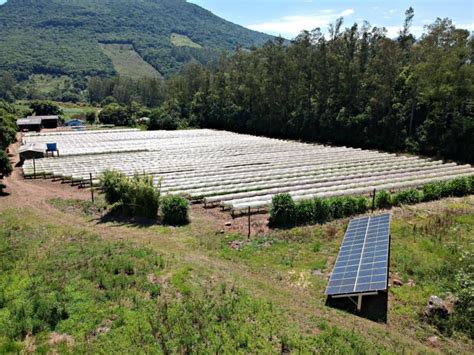 A Energia Solar Pode Salvar A Agricultura Moderna