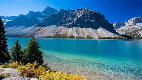 Lake With Clear Blue Water Rocky Mountains Pine Trees