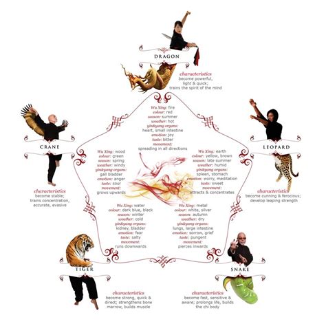 We have the best deals and offers from 100 organizers all. The 5 animals of Chinese Martial Arts