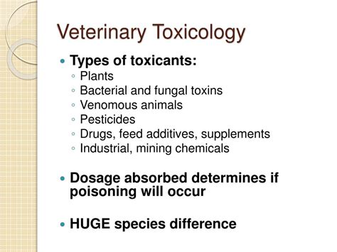 Ppt Common Toxicities In Beef Cattle Powerpoint Presentation Free