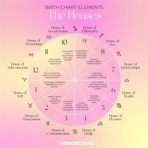 12 Astrological Houses Explained Birth Chart