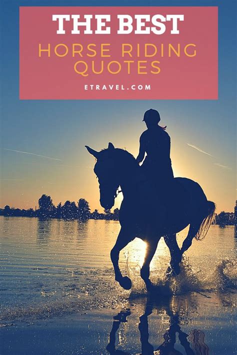 The Best Horse Riding Quotes Etravel Blog