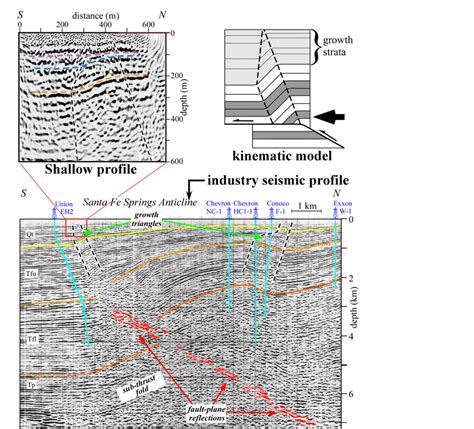 Seismic Reflection Profiles Across The Puente Hills Blind Thrust Fault