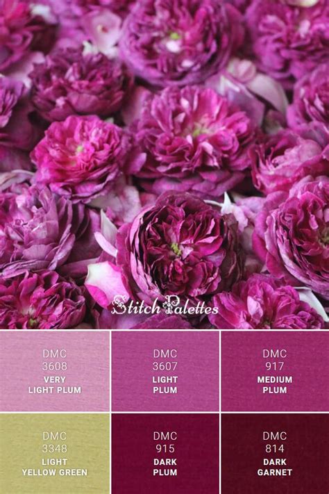 Pink In Full Bloom Color Schemes Colour Palettes Color Palette