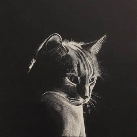 First Time Using White Charcoal On Black Paper Rdrawing
