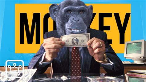 Warren Buffett Thinks Monkeys Can Invest Better Than You Youtube