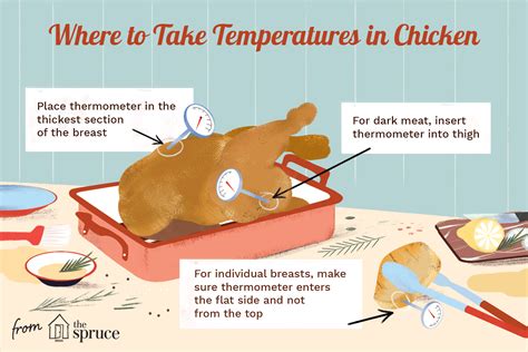 Check the chicken's cavity for any bag of neck bones and giblets that might be hanging out in there, removing it if. Here Are the Temperatures You Should Know to Make Juicy ...