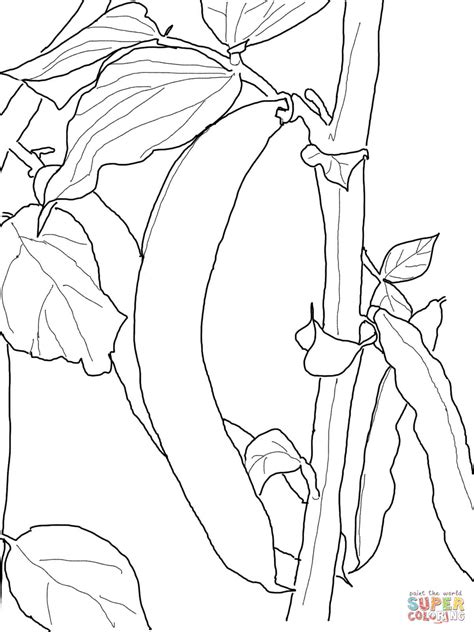 Sprout Online Crafts Coloring Pages Detailed