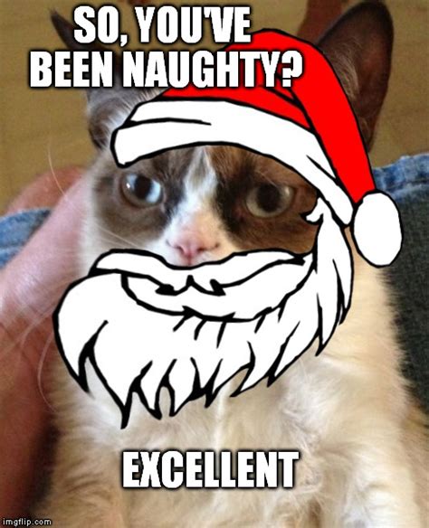 Image Tagged In Grumpy Catfestivechristmassantaexcellentnaughty
