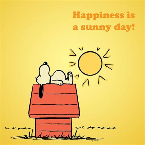 Happiness Is A Sunny Day Peanuts Shareables Pinterest Belle