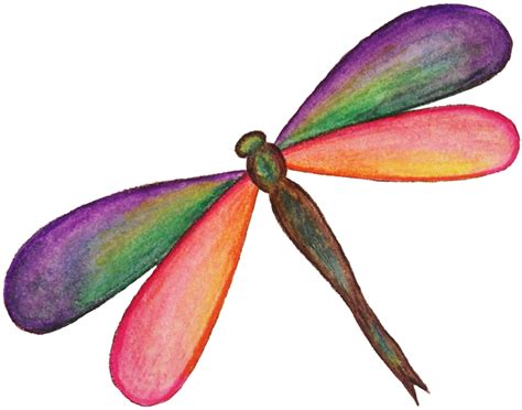Dragonfly Png Hd Png Svg Clip Art For Web Download Clip Art Png