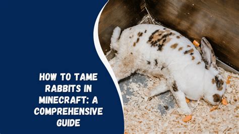 How To Tame Rabbits In Minecraft A Comprehensive Guide English Saga