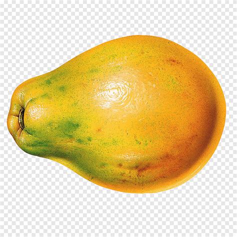 Fruit Geel Papaya Fruit Png Pngegg