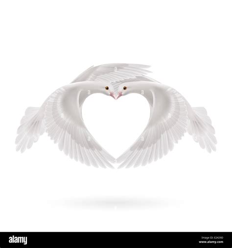 Two White Doves Makes The Shape Of The Wings Of The Heart Stock Photo