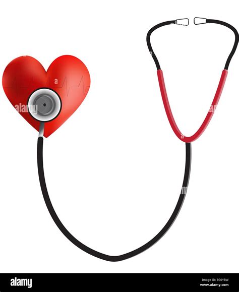 Heart Stethoscope Ecg Stock Vector Image And Art Alamy