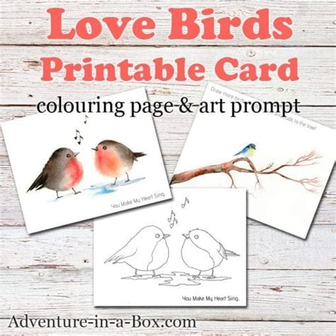 Love Birds Free Printable Card Colouring Page Art Prompt