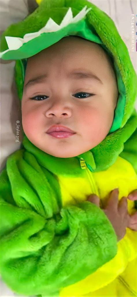 Cipung Gambar Bayi Foto Bayi Bayi