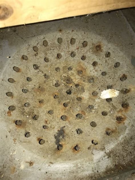 I rented a sewer snake from home depot and cleared the clogged drain. Basement floor drain blind or clogged? 1915 home | Terry ...
