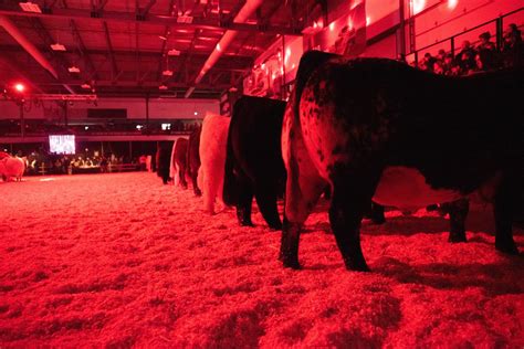 Out And About With Alberta Beef Producers Alberta Beef Producers