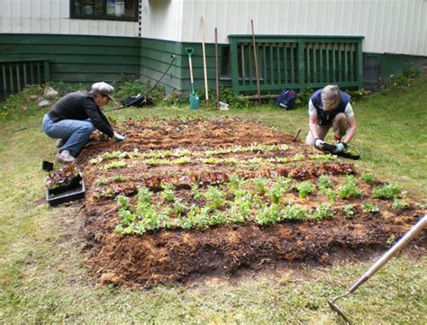 Check spelling or type a new query. A Guide to Learning the Lasagna Gardening Technique