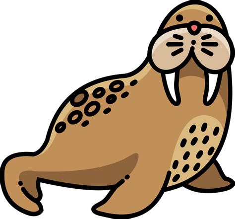 Walrus Clipart Free Download Transparent Png Creazilla