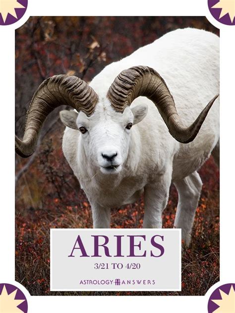 List Of What Are Aries Spirit Animal Ideas