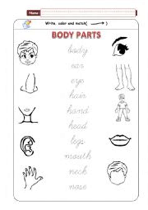 body parts matching esl worksheet  francavelez