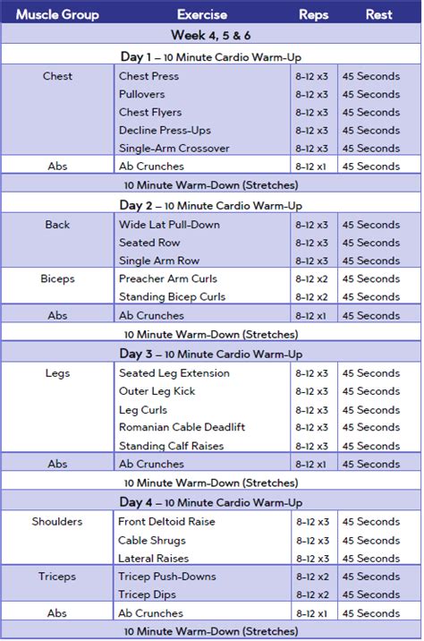 6 Week Beginners Multi Gym Workout Plan Uk