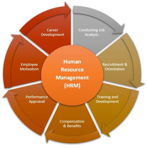 Role And Importance Of Human Resources Role And Importance Of Human