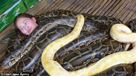 Mimpi tidak takut pada ular besar. Alam Pelik Dunia: VIDEO: Zoo tawar urutan ular sawa Burma
