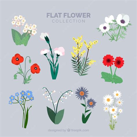 Free Vector Flowers With Stem Collection In Flat Style