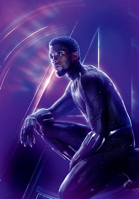 Black Panther Marvel Cinematic Universe Heroes Wiki Fandom