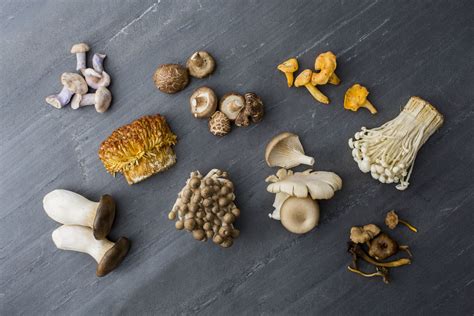 Types of Mushrooms - Guide to Buying and Storing