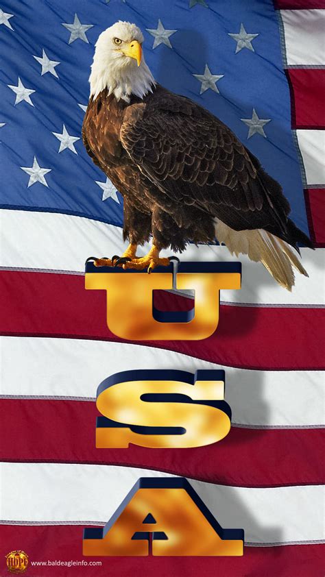 American Eagle Logo Wallpaper (68+ images)