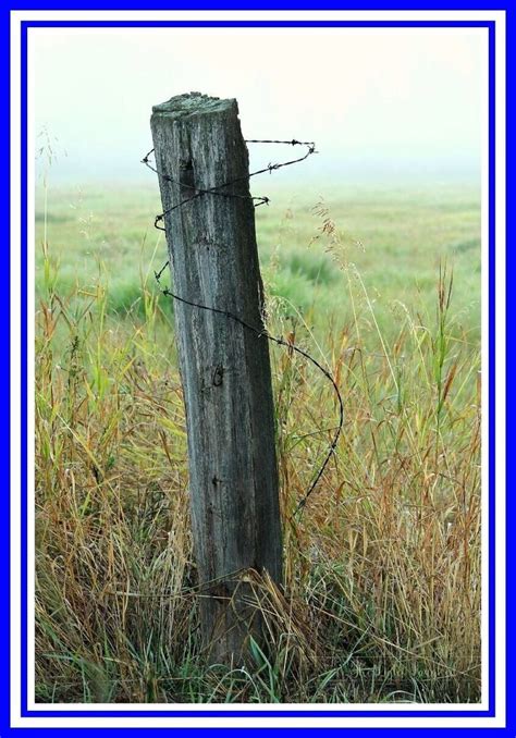 Submitted 4 years ago by sunlessland. 50 reference of fence Rustic barbed wire - Modern Design ...