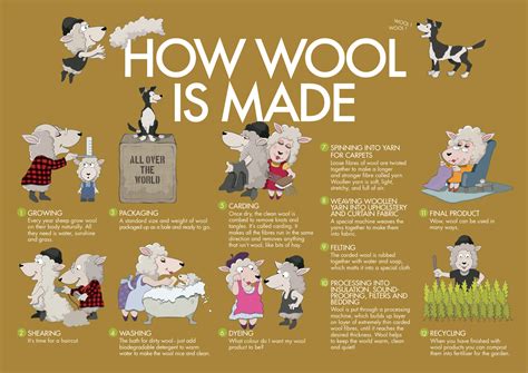 How Wool Is Made Wool In Schools