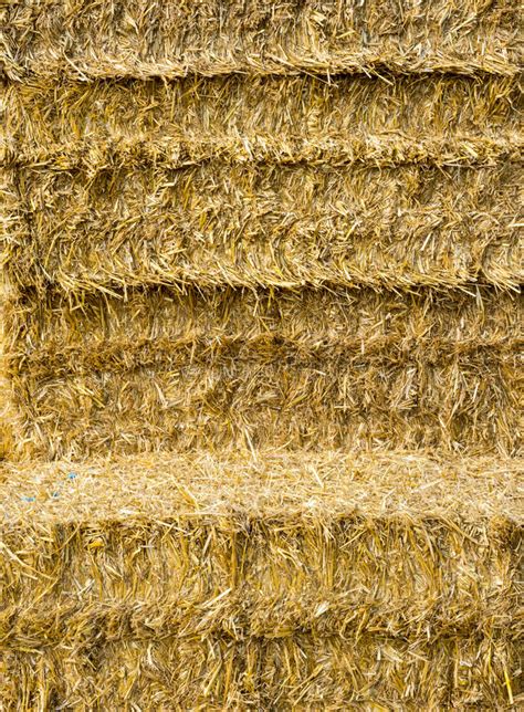 Stack Of Straw Bales Stock Image Image Of Bales Stack 44955261