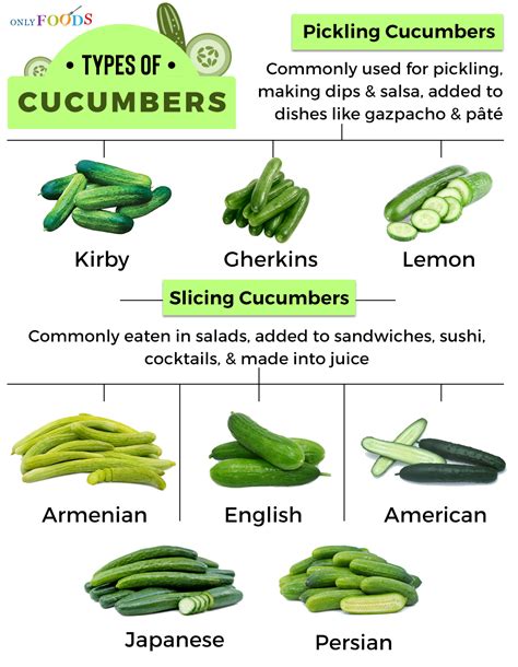 Cucumber Types