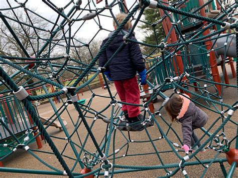 Spiders on the move - Photos from Chris Hardie
