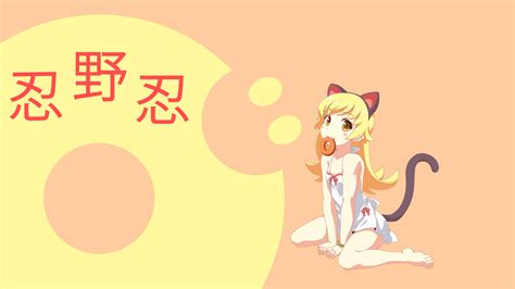 Hd Anime Cat Background Pixelstalknet