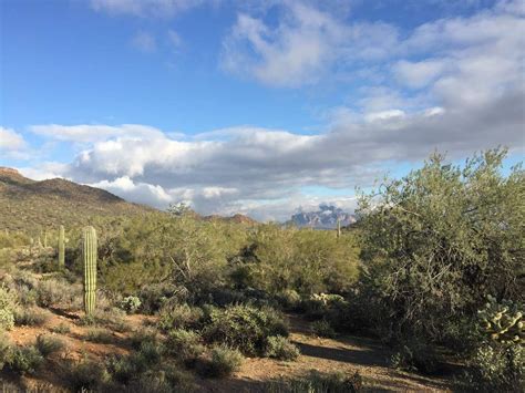 Merkle Trail 10 Mile In Mesa Az At Usery Mountain Regional Park