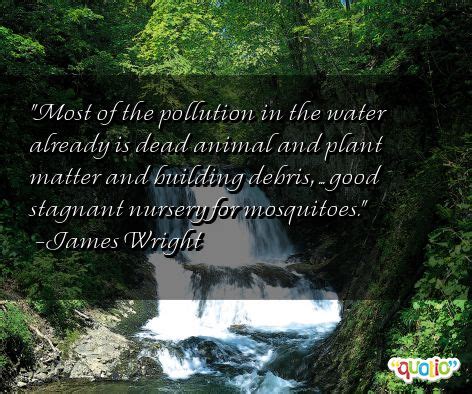 The federal water pollution control administration dryly notes: Famous Quotes About Water Pollution. QuotesGram