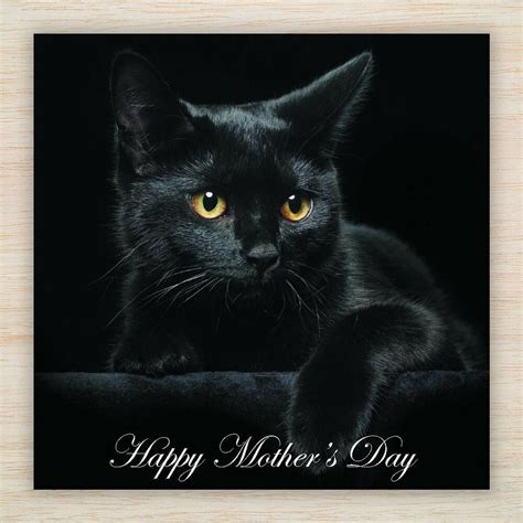 Maybe you would like to learn more about one of these? Happy Mother's Mothers Day Card Beautiful Black Cat High ...