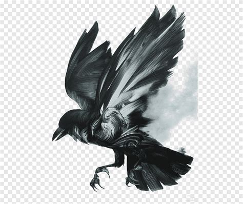 Black And White Raven Black Birds Watercolor Painting Illustrator