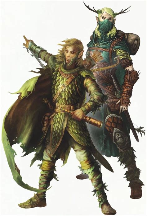 Wood Elves Warhammer Fantasy Roleplay Fourth Edition Rulebook