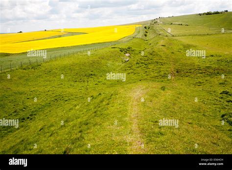 Ditch And Embankment Of The Wansdyke A Saxon Defensive Structure On All
