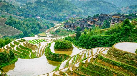 Longji Rice Terrace Fields And Minority Villages Private Day Tour Klook
