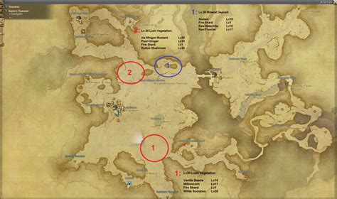 Besides, more than two of us would be needed to comb even the known warrens of wyvern. Final Fantasy 14 Mining Guide